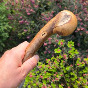 SHILLELAGH - IRSKÁ VYCHÁZKOVÁ HŮL, LÍSKA - BOJ S IRSKOU HOLÍ SHILLELAGH - ZBRANĚ
