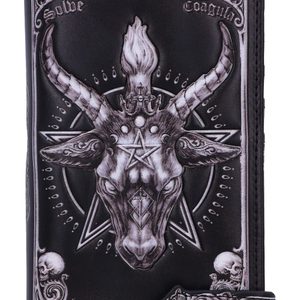 BAPHOMET, PENĚŽENKA, 18.5CM - PENĚŽENKY - MÓDA