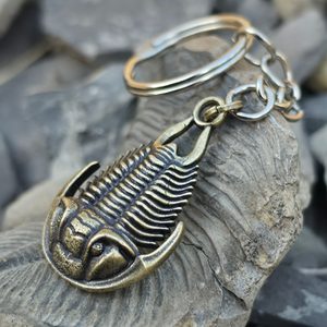 KLÍČENKA S TRILOBITEM, ZINEK, STAROMOSAZ - KLÍČENKY Z KOVU - ŠPERKY
