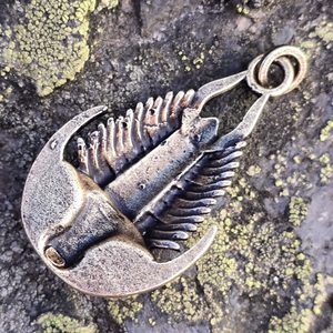 TRILOBIT, PŘÍVĚSEK, ZINEK, STAROMOSAZ - ZVÍŘECÍ AMULETY - ŠPERKY