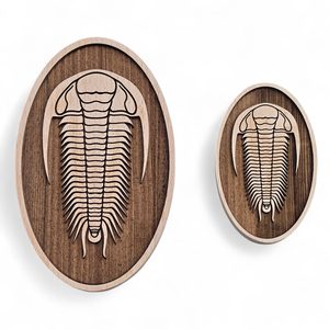 DEKORACE NA ZEĎ, TRILOBIT VELKÝ - DŘEVĚNÉ OBRAZY - HOME DECOR