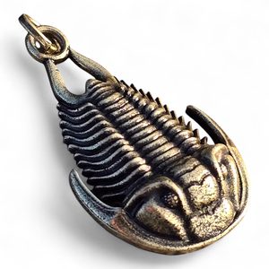 TRILOBIT, PŘÍVĚSEK, ZINEK, STAROMOSAZ - ZVÍŘECÍ AMULETY - ŠPERKY