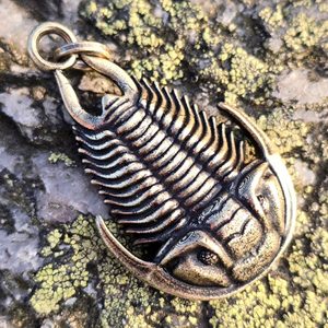 TRILOBIT, PŘÍVĚSEK, ZINEK, STAROMOSAZ - ZVÍŘECÍ AMULETY - ŠPERKY