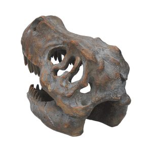 T-REX, TYRANNOSAURUS REX, LEBKA - FOSÍLIE A IMITACE - HOME DECOR