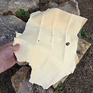 KVALITNÍ ČESKÁ PRAVÁ JELENICE NA ČIŠTĚNÍ SKEL A KAROSÉRIÍ - ÚDRŽBA VÝROBKŮ - TÁBOŘENÍ A ŘEMESLA