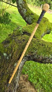 VITIS, ŘÍMSKÁ VYCHÁZKOVÁ HŮL - BOJ S IRSKOU HOLÍ SHILLELAGH - ZBRANĚ