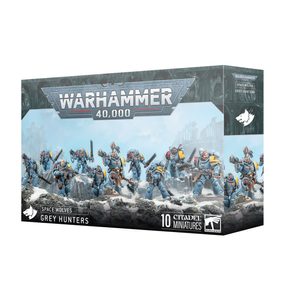 WARHAMMER 40K: SPACE WOLVES - GREY HUNTERS - WARHAMMER 40K - HRY A KNIHY