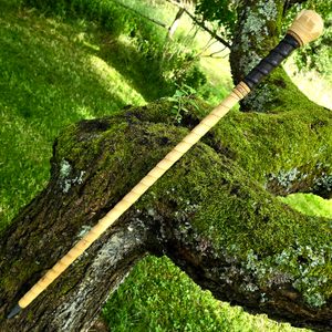 VITIS, ŘÍMSKÁ VYCHÁZKOVÁ HŮL - BOJ S IRSKOU HOLÍ SHILLELAGH - ZBRANĚ