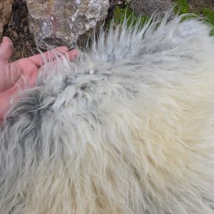 OVČÍ KOŽEŠINA, ŠVÉDSKÁ OVCE MELERADE - KOŽEŠINY - SEDLÁŘSTVÍ