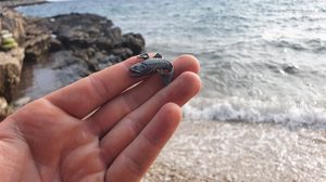 PSTRUH, RYBÁŘSKÝ AMULET, ZINEK, STAROSTŘÍBRO - ZVÍŘECÍ AMULETY - ŠPERKY