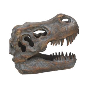 T-REX, TYRANNOSAURUS REX, LEBKA - FOSÍLIE A IMITACE - HOME DECOR