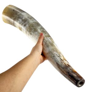 ROH NA TROUBENÍ 50 CM - SIGNÁLNÍ ROHY - STOLOVÁNÍ