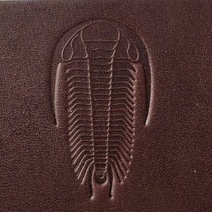 KOŽENÝ NÁRAMEK S TRILOBITEM - KOŽENÉ ŠPERKY - SEDLÁŘSTVÍ