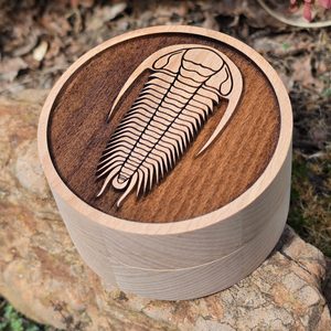 DŘEVĚNÁ KRABIČKA NA ZKAMENĚLINY, TRILOBIT - GEOLOGICKÉ VYBAVENÍ - TÁBOŘENÍ A ŘEMESLA