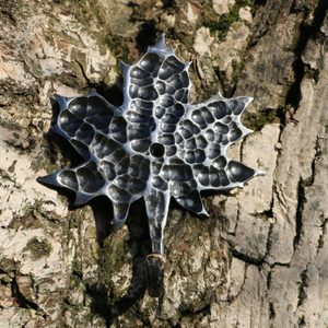 JAVOR LIST VĚŠÁK NA KLÍČE / VĚŠÁK NA ŠATY - KOVANÉ VÝROBKY - KOVÁŘSTVÍ A MINCE