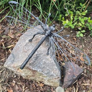 MEGANEURA KOVANÁ VÁŽKA - KOVANÉ VÝROBKY - KOVÁŘSTVÍ A MINCE