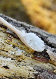 BŘEZOVÁ DÓZA NA SŮL A LŽÍCE - MISKY - STOLOVÁNÍ