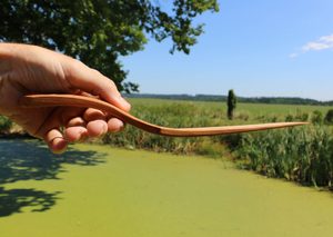 OBRACEČKA, DŘEVO - DOBOVÉ STOLOVÁNÍ, LŽIČKY{% if kategorie.adresa_nazvy[0] != zbozi.kategorie.nazev %} - DŘEVO - VÝROBKY A OBRAZY{% endif %}