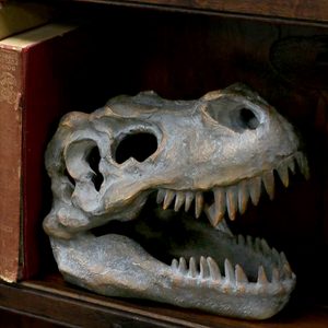 T-REX, TYRANNOSAURUS REX, LEBKA - FOSÍLIE A IMITACE - HOME DECOR
