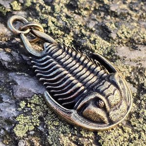 TRILOBIT, PŘÍVĚSEK, ZINEK, STAROMOSAZ - ZVÍŘECÍ AMULETY - ŠPERKY