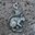 SQUIRREL, pendant, Zinc, antique silver