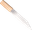 Saxy