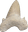 Fossils and imitations