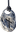 Runy