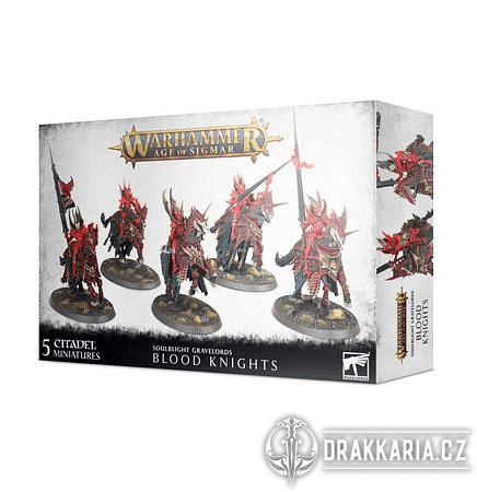 WARHAMMER AGE OF SIGMAR BLOOD KNIGHTS