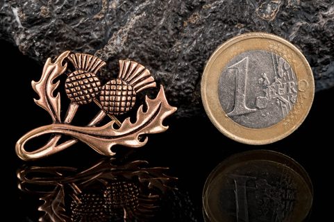 SKOTSKÝ BODLÁK, BRONZOVÁ BROŽ