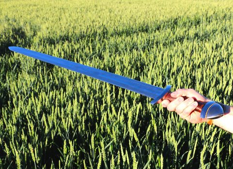 SKOFNUNG, KOVANÝ VIKINGSKÝ MEČ