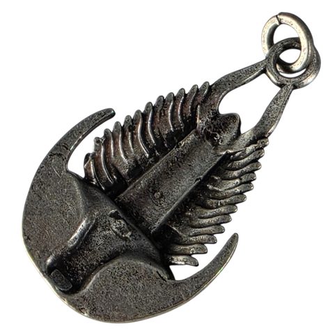 TRILOBIT, PŘÍVĚSEK, ZINEK