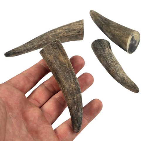 DRAČÍ DRÁP - ŠPIČKA ROHU