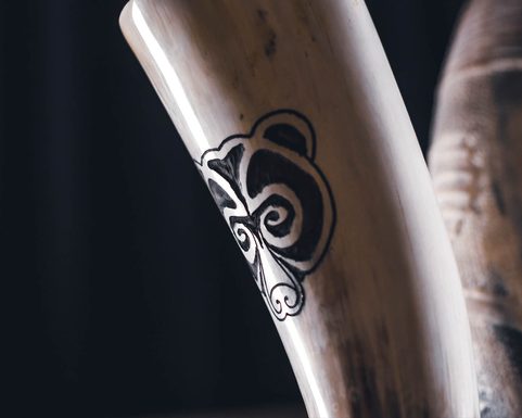 URSUS, MEDVĚD, ROH NA PITÍ