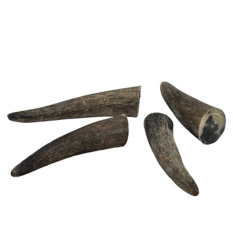 DRAČÍ DRÁP - ŠPIČKA ROHU