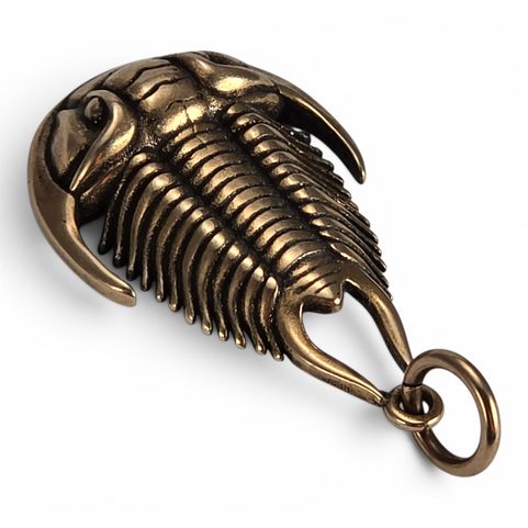 PŘÍVĚŠEK TRILOBIT BRONZ