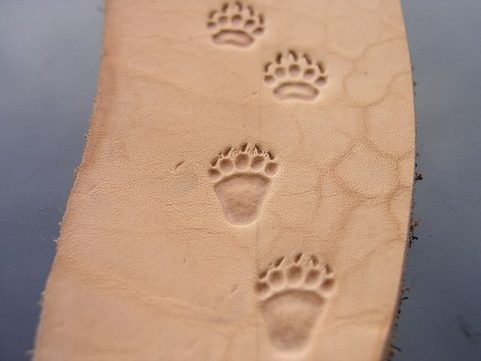 MEDVĚDÍ STOPA - GRIZZLY, RAZNICE DO KŮŽE