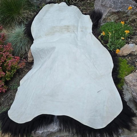 OVČÍ KOŽEŠINA, ISLANDSKÁ OVCE