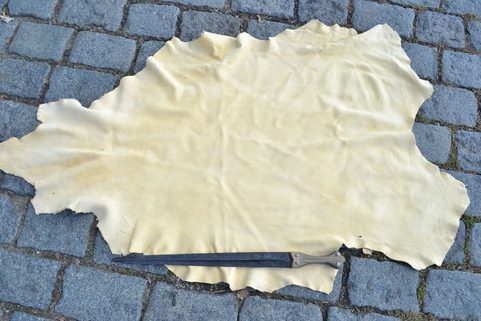 ZÁMIŠOVÁ JELENICE