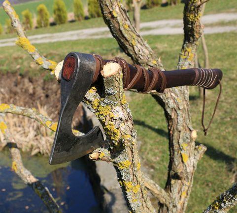 RAGNAR LOTHBROK, SEKERA BRADATICE