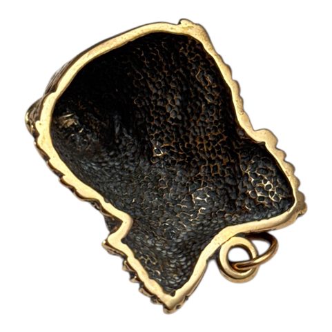 DIVOČÁK - KANEC, MASIVNÍ AMULET KANČÍ HLAVA BRONZ