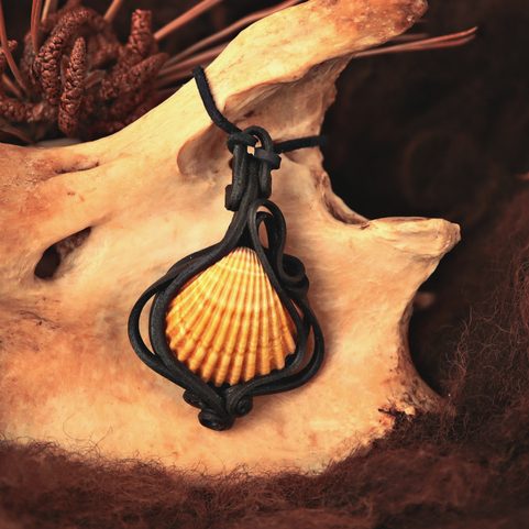 MOŘSKÝ AMULET, MUŠLE