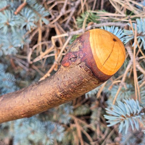 SHILLELAGH - IRSKÁ VYCHÁZKOVÁ HŮL, LÍSKA