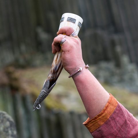GUNNAR, VIKINGSKÝ KRÁLOVSKÝ KRAVSKÝ ROH, 0.4 L