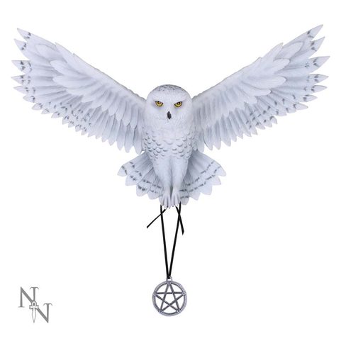 MAGIC OWL PENTAGRAM  - NÁSTĚNNÁ DEKORACE 45 CM