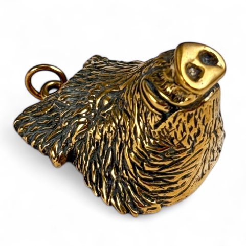 DIVOČÁK - KANEC, MASIVNÍ AMULET KANČÍ HLAVA BRONZ