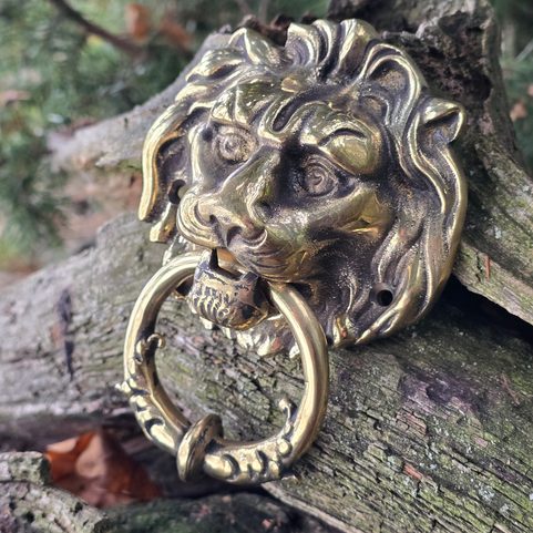 LEV, HISTORICKÉ KLEPADLO - MOSAZ