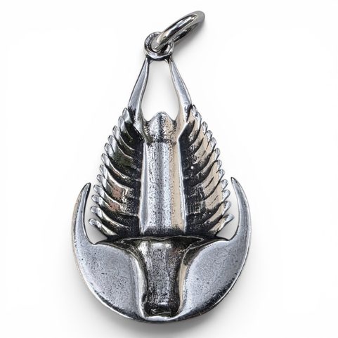 PŘÍVĚŠEK TRILOBIT STŘÍBRNÝ AG 925