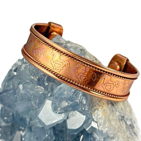 EQUUS, MĚDĚNÝ NÁRAMEK