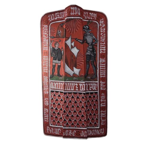 STŘEDOVĚKÁ PAVÉZA, DAVID A GOLIÁŠ, ČECHY